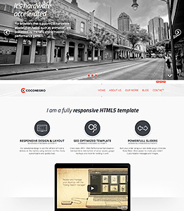 Coconegro responsive template