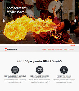 Coconegro responsive template