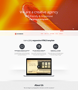 Coconegro responsive template